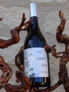 Chinon 2015 Carpe Diem